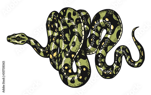 Snake in Vintage style. Serpent cobra or python or poisonous viper. Engraved hand drawn old reptile sketch for Tattoo. Anaconda for sticker or logo or t-shirts.