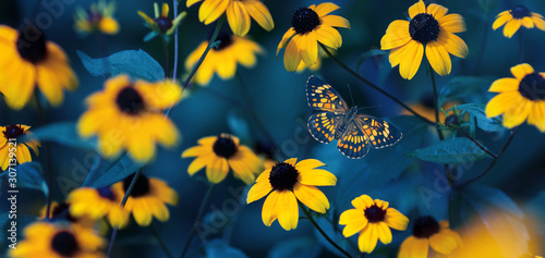 Tropical butterfly and small yellow bright summer flowers on a background of blue foliage in a fairy garden. Macro artistic image.