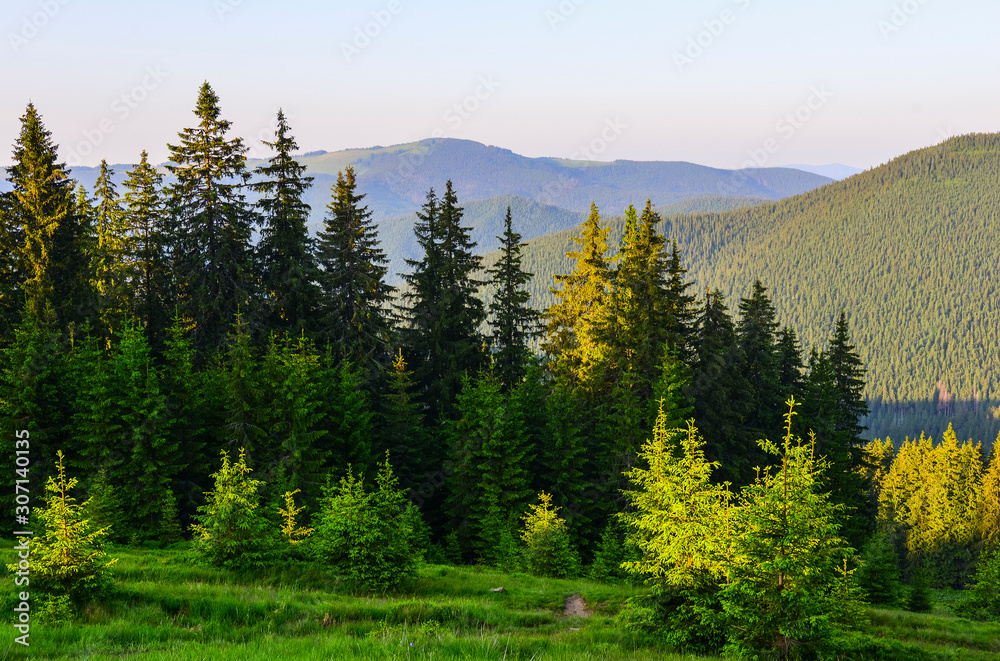 Carpathian mountains landscape Carpathian mountains landscape