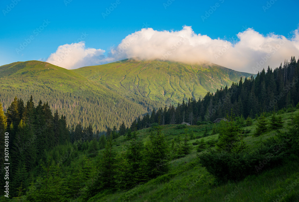 View of Mount Hoverla