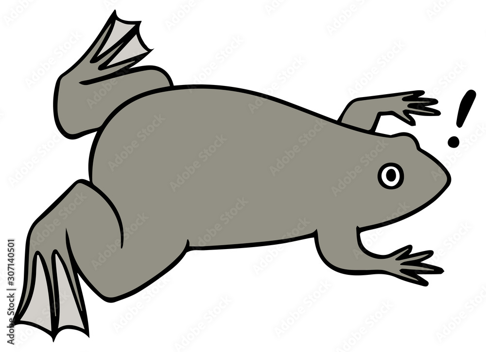 アフリカツメガエルのイラスト_!マーク アフリカツメガエルのイラスト_!マーク