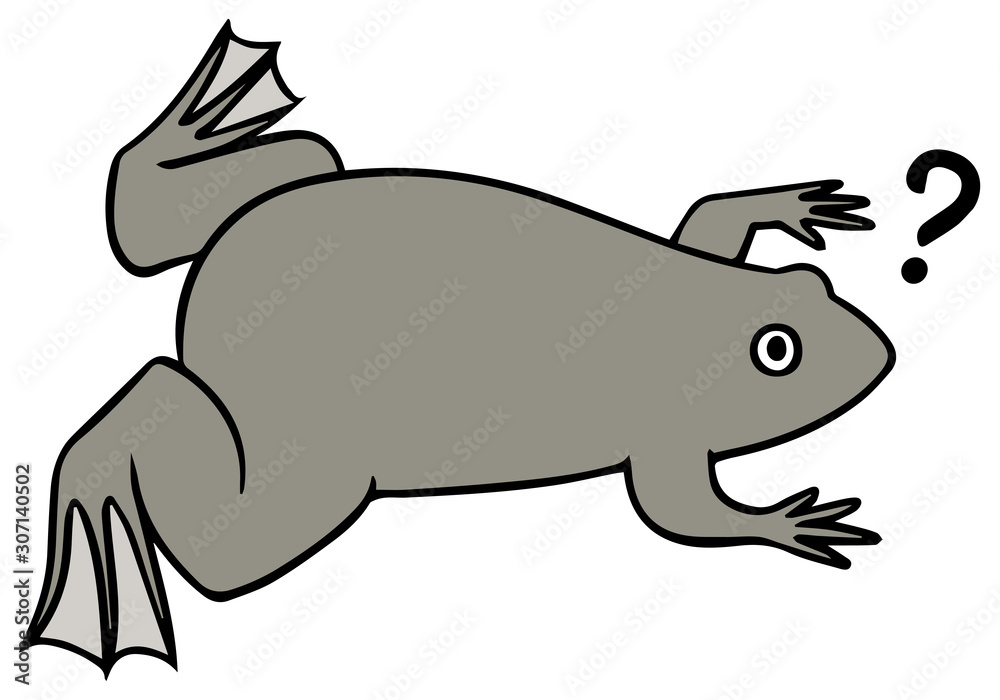アフリカツメガエルのイラスト_?マーク アフリカツメガエルのイラスト_?マーク