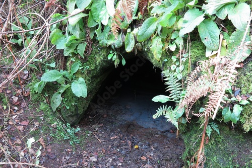 GENUINE HIDDEN SMUGGLERS CAVE CORNWALL photo