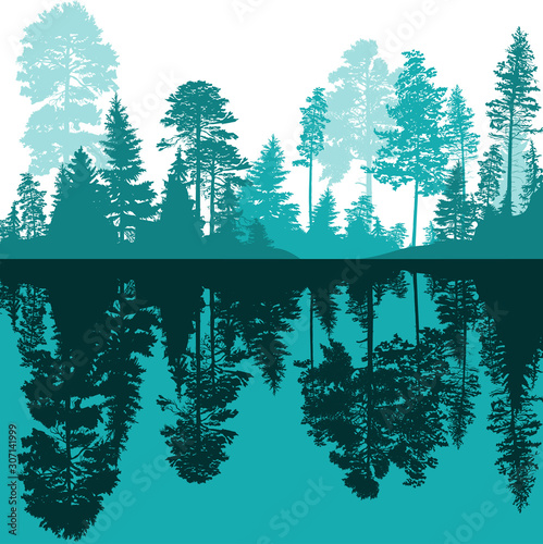 blue fir forest silhouette and reflection