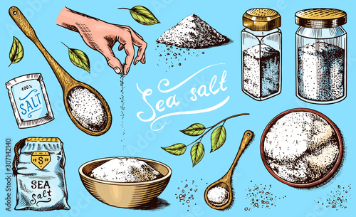 Sea salt set. Glass bottles, packaging and and leaves, wooden spoons, powdered powder, spice in the hand. Vintage background poster. Engraved hand drawn sketch. 