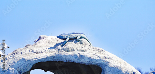 iguana on a rock sunbathing, Cayo de Santa María, Republic of Cuba photo