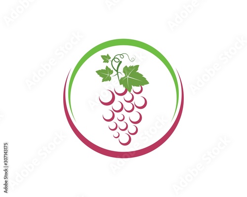 Grape fruits with leaf icon vector illustrtion