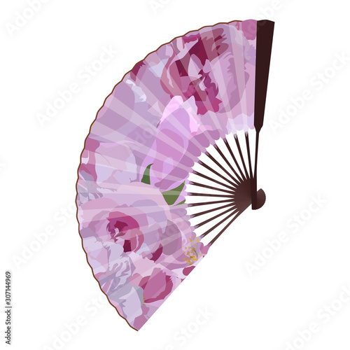 Sakura blossom folding fan, vector isolated illustration
