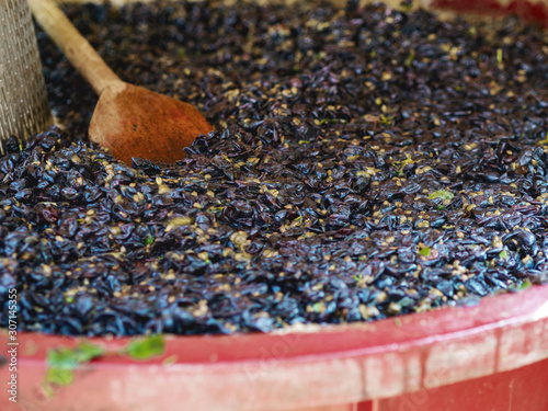 Φωτογραφία Stages of champagne production. Grape press.