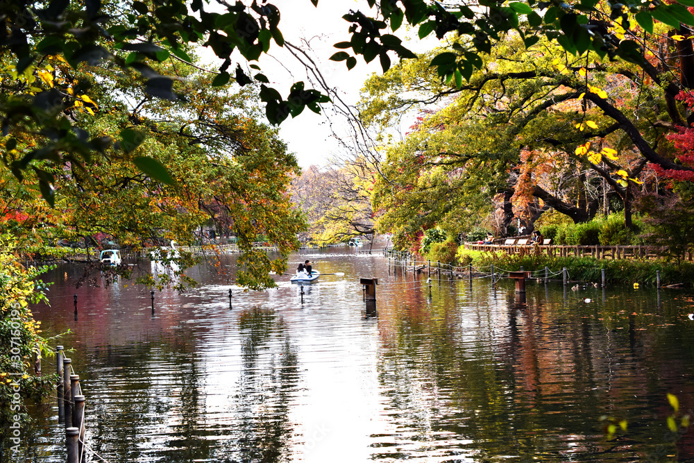 井の頭公園の紅葉 井の頭公園の紅葉