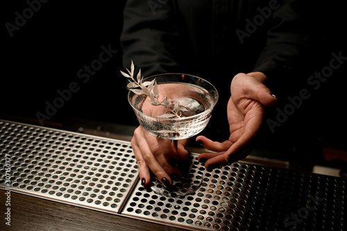 Bartender holding cocktail with branch of white leaves