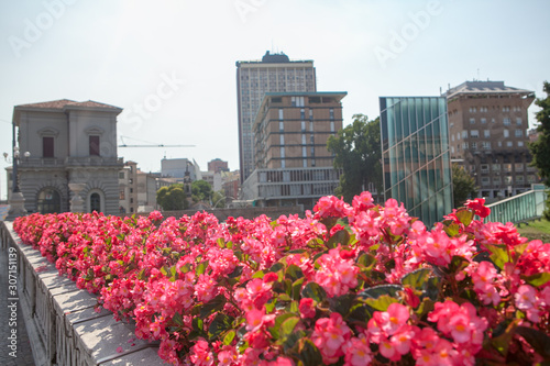  flower bed with a variety of red flowers on the street