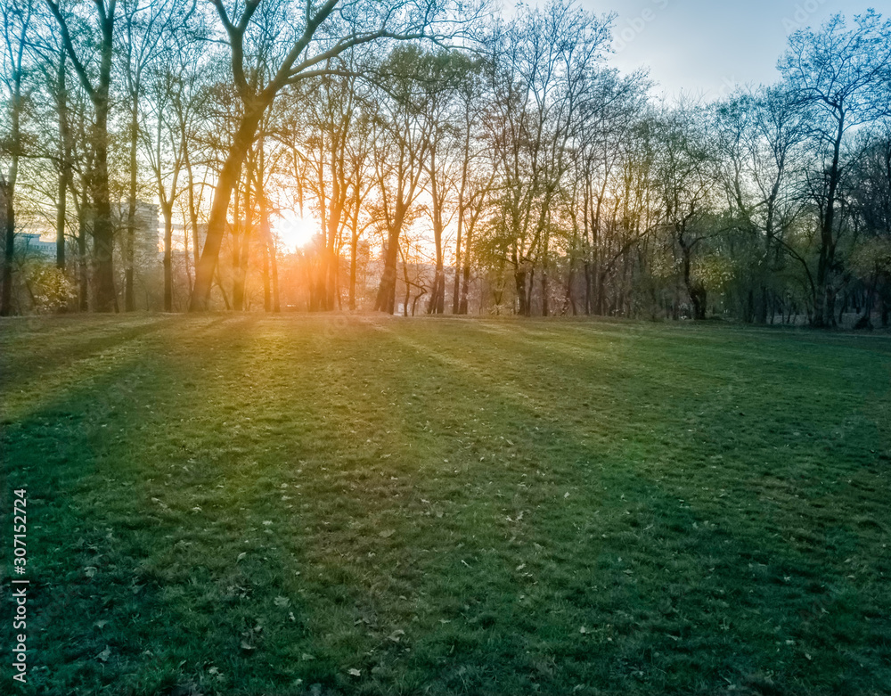 Fototapeta premium Sumice, Vozdovac, Belgrade, Serbia - november 29th, 2019: lawn in the park with the view on the sunset and sunlight, clouds on the sky and distant buildings through the autumn trees