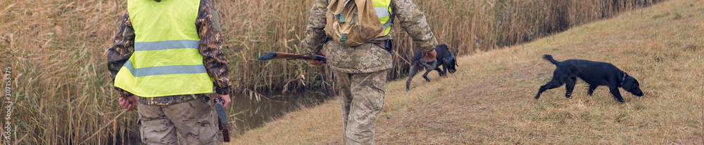 Hunting period, autumn season open. A hunter with a gun in his hands in hunting clothes in the autumn forest in search of a trophy. A man stands with weapons and hunting dogs tracking down the game. Hunting period, autumn season open. A hunter with a gun in his hands in hunting clothes in the autumn forest in search of a trophy. A man stands with weapons and hunting dogs tracking down the game.