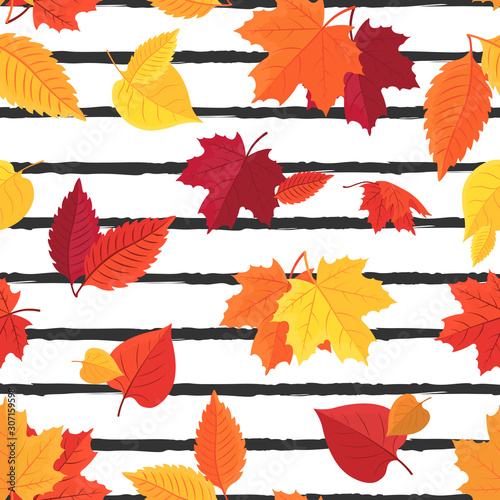 Vector seamless pattern of colorful autumn leaves on striped background.