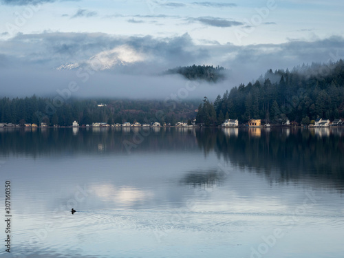 Cloudy morning on Hood Canal with birds and a Marina