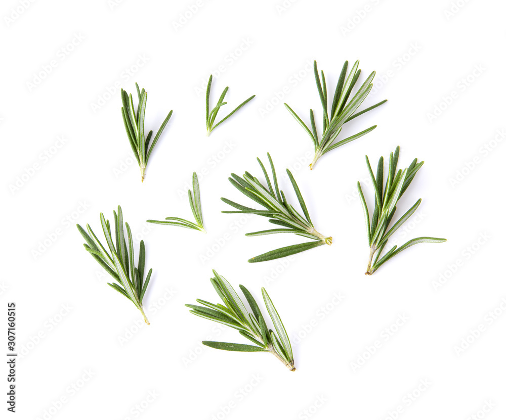 Fototapeta premium fresh rosemary isolated on white background, Top view.