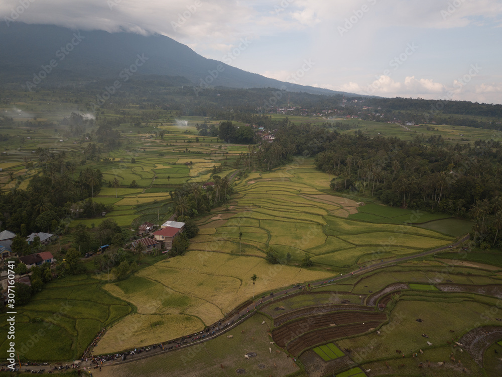 Aerial View - Beautiful Paddy Fields. Patterns in nature