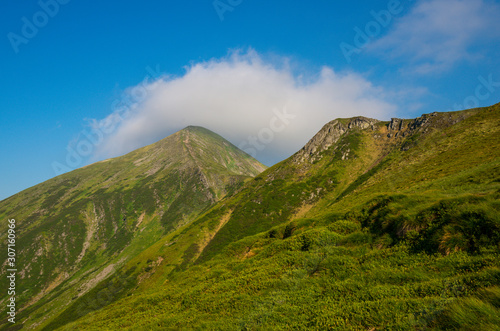 Carpathian mountains landscape