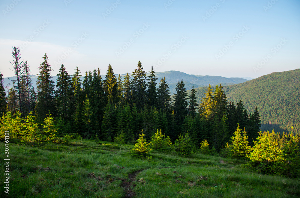 Fototapeta premium Carpathian mountains landscape