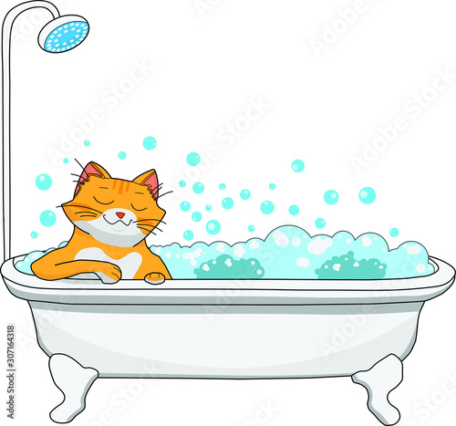 Red cat takes a bath filled with foam and bubbles, happy face