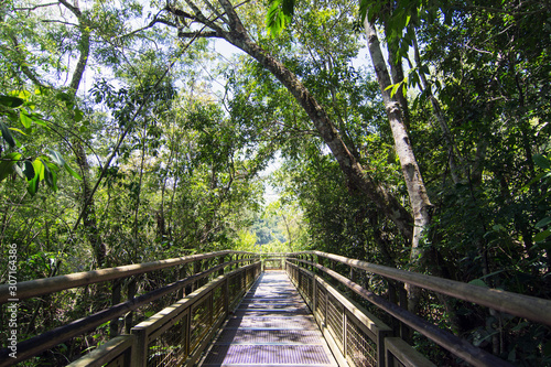 Catwalk trail Through Rain Forest at Iguazu Falls in Argentina