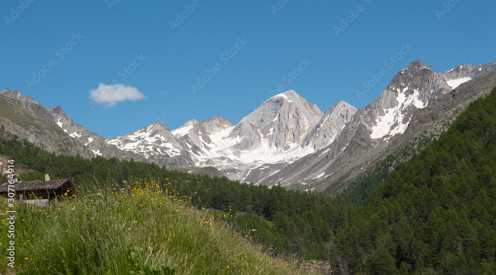 panoramic view of alpine valley Pfossental, Südtirol (Val Fosse, South Tyrol/Italy) with mountains Hochweisse (Cima Bianca Grande) and Hochwilde (Cima Altissima) in national park 