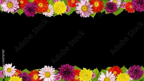 background with flowers