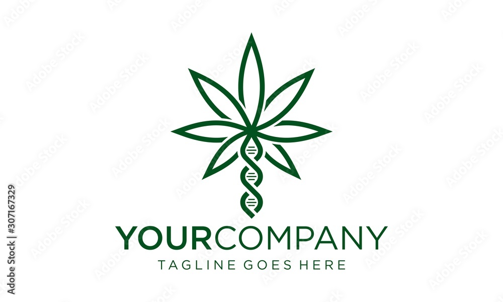 Cannabis logo design vector for medical care Cannabis logo design vector for medical care