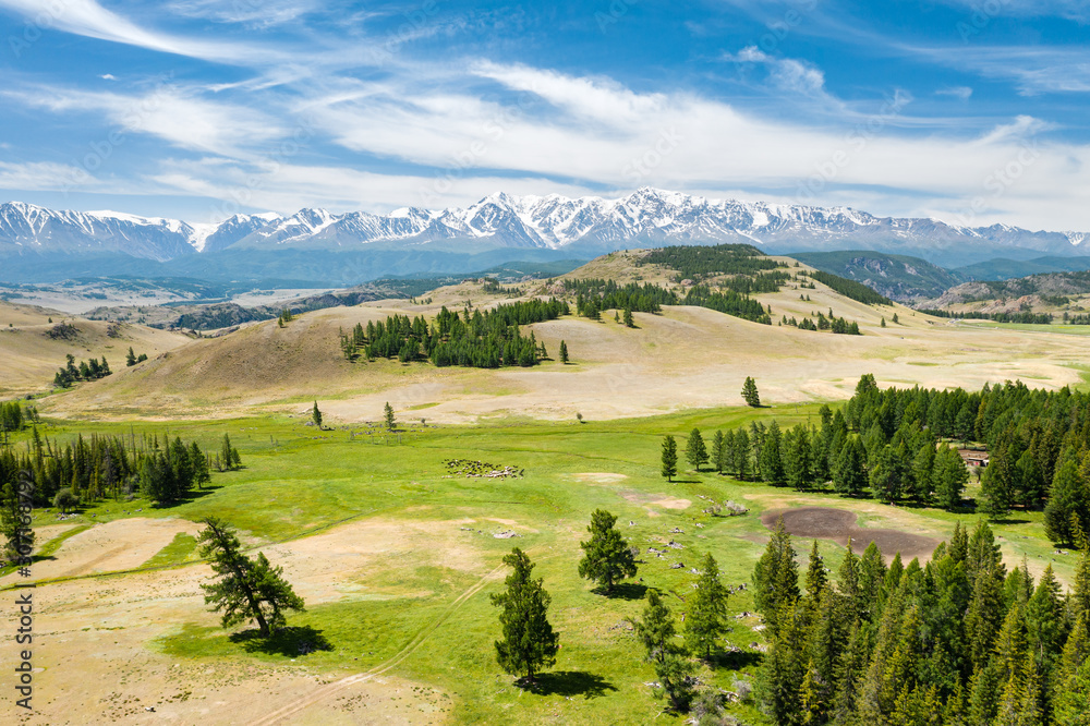 Kurai steppe in Altay on a summer day, aerial view. Natural scenery in Siberia, Russia