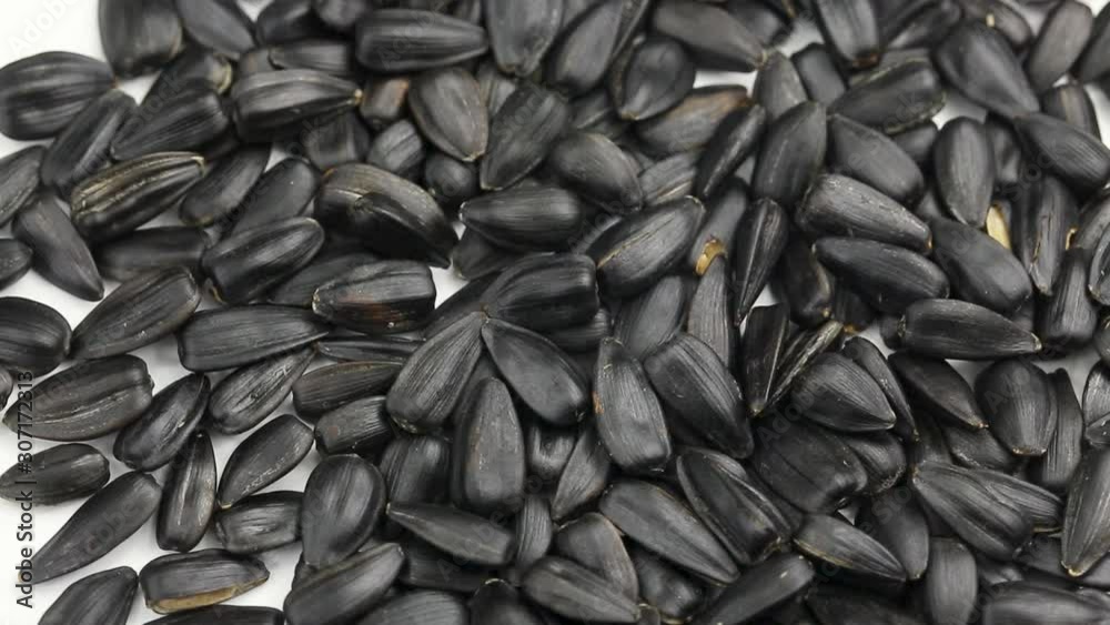 Grain seeds in a circular motion. closed Grain seeds in a circular motion. closed