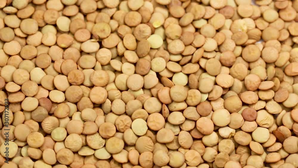 Lentil groats in a circular motion. close up Lentil groats in a circular motion. close up