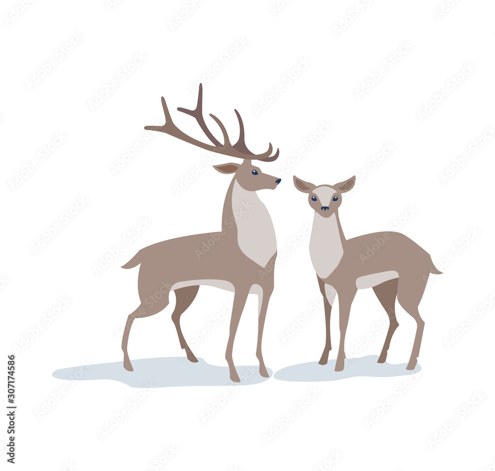 Obraz premium Vector illustration.
