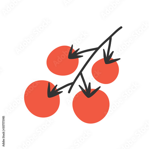 Sweet cherry smal tomatoes on branch. Simple vegetable ingredient drawing, vector isolated modern illustration, icon or logo for farming market or menu, colorful cartoon doodle.