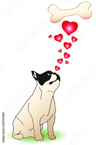san valentino con cane innamorato del suo osso