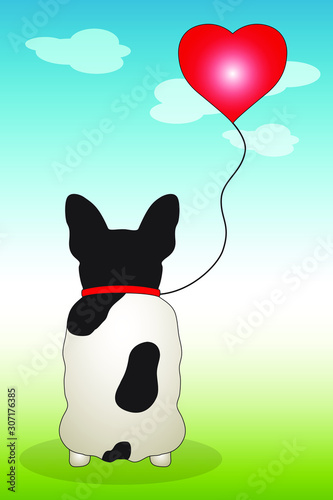 cane con guinzaglio di palloncino a forma di cuore