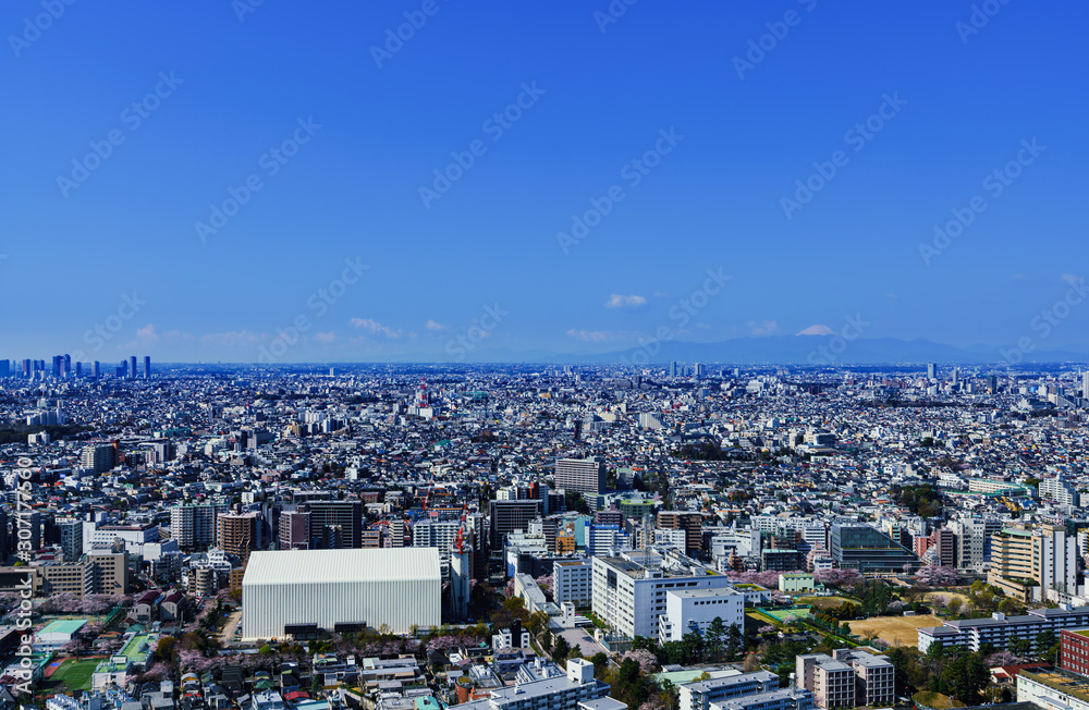 Fototapeta premium 都市風景 東京 関東 日本 パノラマ ハイアングル 鳥瞰図 快晴 青空 都市 ビジネス 不動産 首都