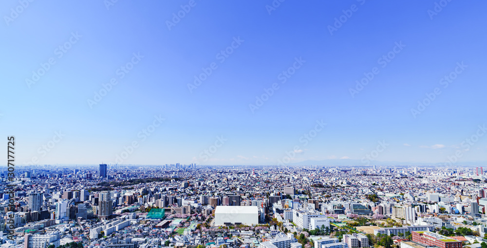 都市風景　東京　関東　日本　パノラマ　ハイアングル　鳥瞰図　快晴　青空　都市　ビジネス　不動産　首都