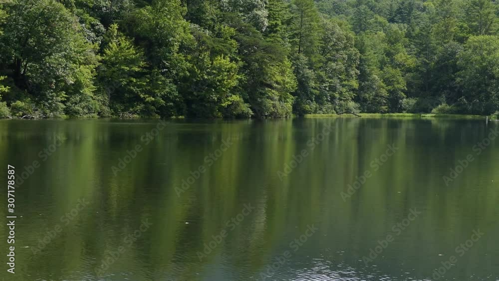 Georgia Lake Winfield Scott The lake with tree reflections and a pan left to right Georgia Lake Winfield Scott The lake with tree reflections and a pan left to right