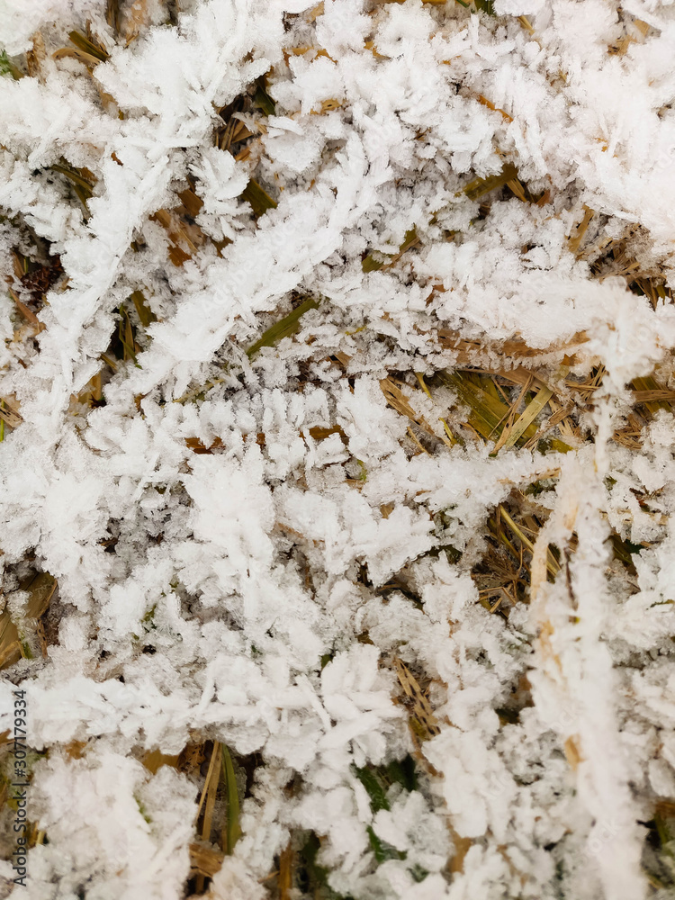 Frost crystals on dry autumn grass Frost crystals on dry autumn grass