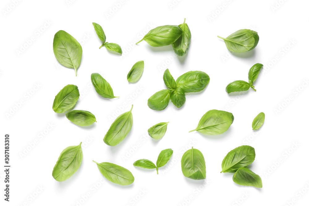 Fresh green basil leaves on white background, top view Fresh green basil leaves on white background, top view