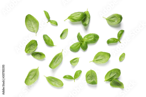 Fresh green basil leaves on white background, top view