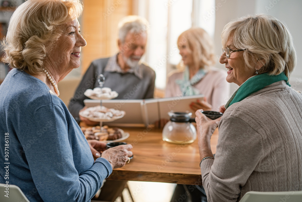 Smiling senior woman drinking tea and talking to each other at home. Smiling senior woman drinking tea and talking to each other at home.