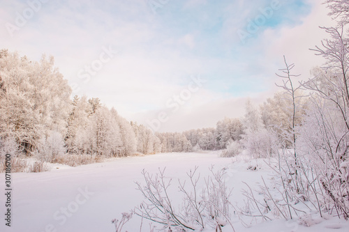 Winter Christmas picturesque background with copy space. Snowy landscape with trees covered with snow, outdoors © oksanamedvedeva