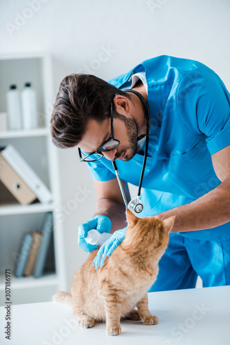 Fototapeta Naklejka Na Ścianę i Meble -  attentive veterinarian applying medicine on back of red tabby cat