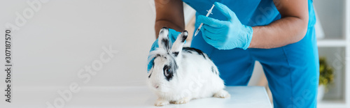 Fototapeta Naklejka Na Ścianę i Meble -  cropped view of veterinarian making vaccination of cute spotted rabbit, panoramic shot