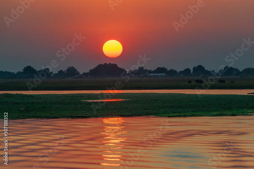 Sunset on Chobe River