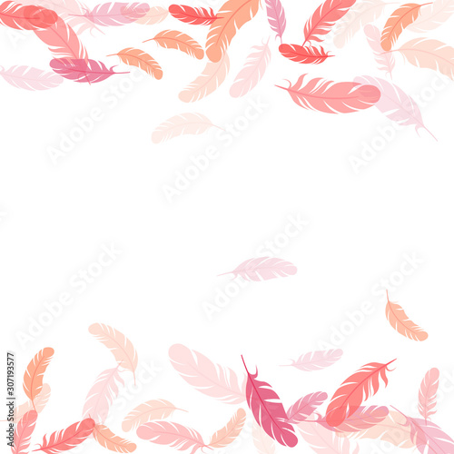 Falling feather elements soft vector design.