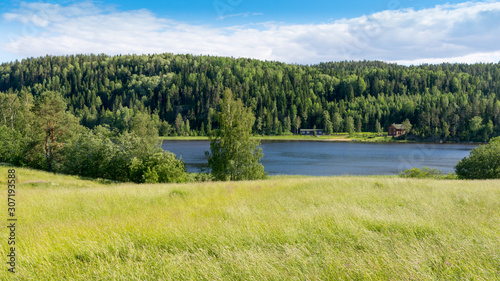 view of the green shores of lake Ladoga