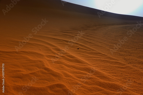 Wind ripples in the sand of the Sahara at sunrise